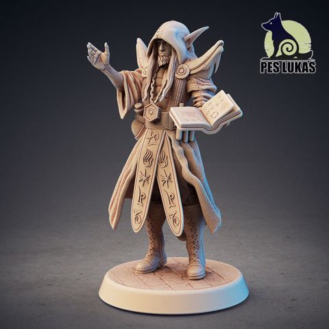 Image of Elf Wizard