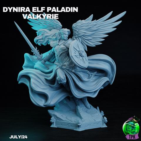 Image of Dynira Elf Paladin Valkerie