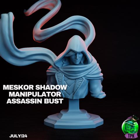 Image of Meskor Shadow Manipulator Assassin Bust