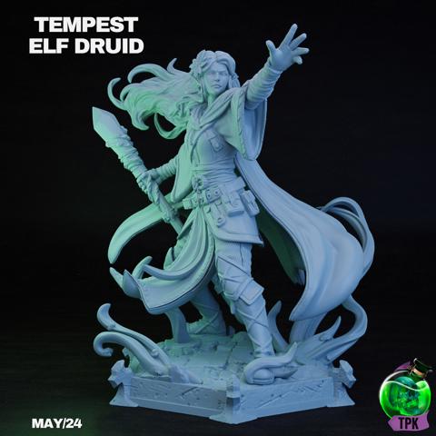 Image of Tempest Elf Druid