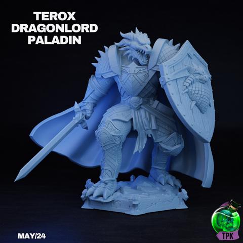 Image of Terox Dragonlord Paladin