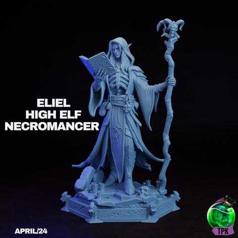 Image of Eliel High Elf Necromancer