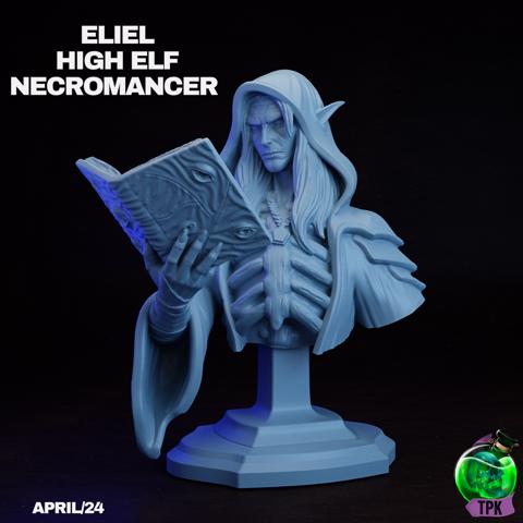 Image of Eliel High Elf Necromancer