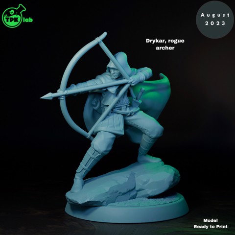 Image of Drycar Rogue Archer