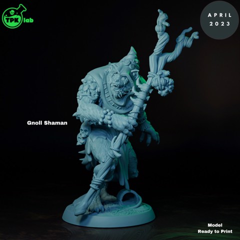 Image of Gnoll Shaman