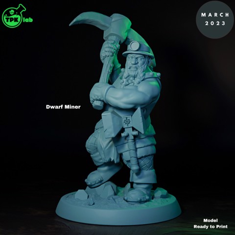 Image of Dwarf Miner