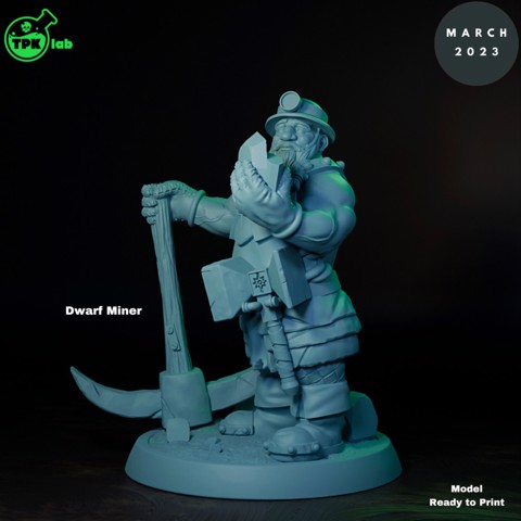 Image of Dwarf Miner