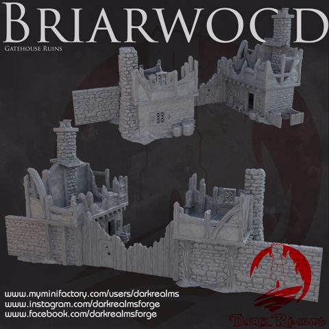 Image of Dark Realms - Briarwood - Gate House Ruins