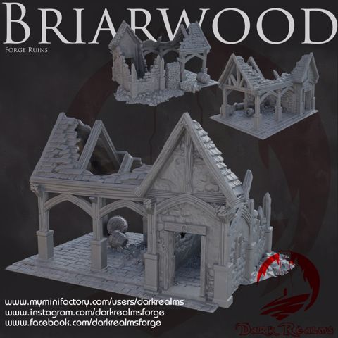 Image of Dark Realms - Briarwood - Forge Ruin