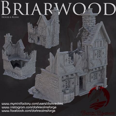 Image of Dark Realms - Briarwood - House 6 Ruin