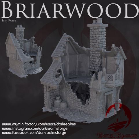 Image of Dark Realms - Briarwood - House 5 Ruin