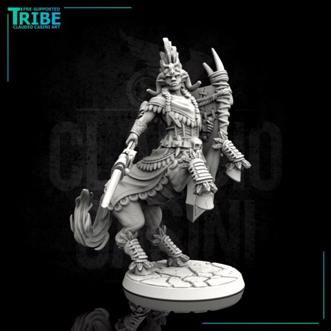 Image of (0114) Male warrior centaur with spear and shield