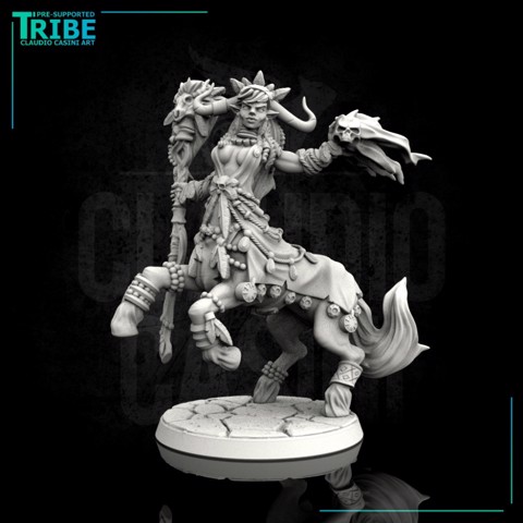 Image of (0113) Female centaur wizard sorceror druid with spell