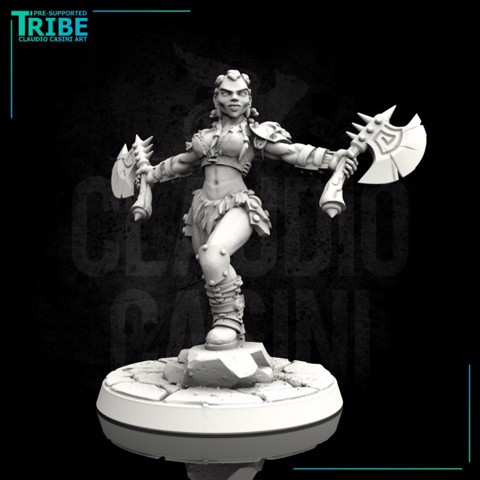 Image of (0003) Female human elf half-orc tiefling firbolg barbarian with two axes