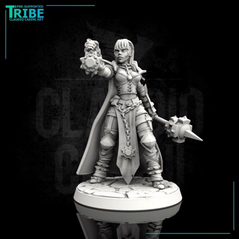 Image of (0088) Female elf human half orc tiefling cleric with club or mace