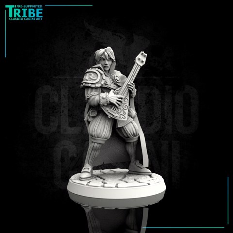 Image of (0082) Male human elf tiefling half orc bard with lute