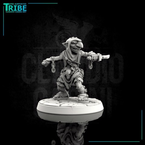 Image of (0041) Male thief rogue or assassin Goblin