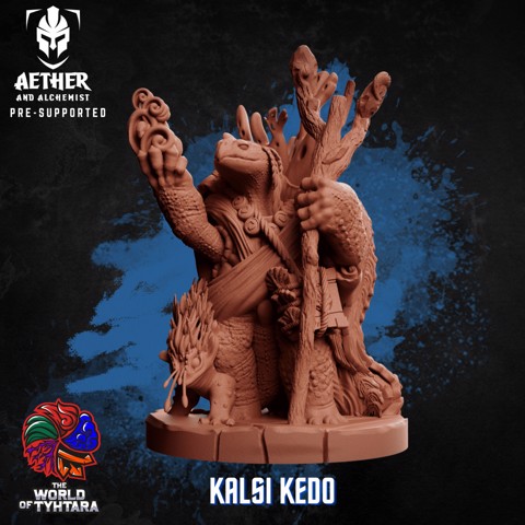 Image of Kalsi Kedo - Tortle Druid