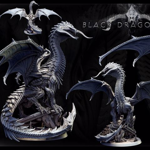 Image of Adult Black Dragon (pose 2 of 2)