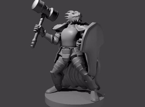 Image of Dragonborn Fighter with Hammer and Shield