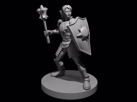 Image of Elven Female Light Cleric with Mace and Shield