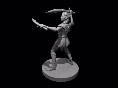 Image of Female Elven Two Scimitar Jungle Fighter