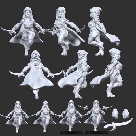 Image of Elf Rogue Type B with Modular Hands and Weapons