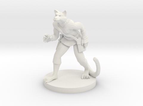 Image of Tabaxi Male Rogue