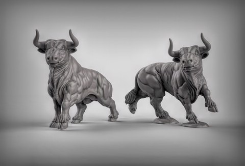 Image of Bulls