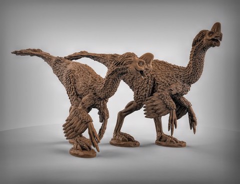 Image of Oviraptors