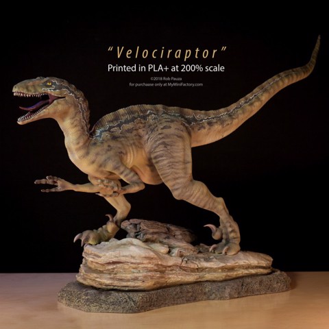 Image of Velociraptor