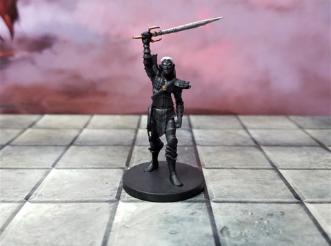 Image of Drow House Captain