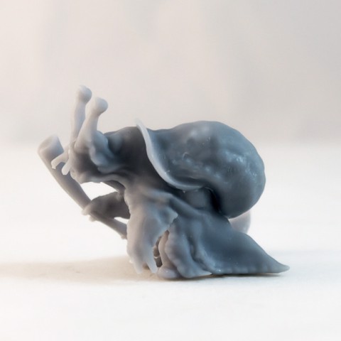 Image of Snail Companion - DnD Character - 2 Poses