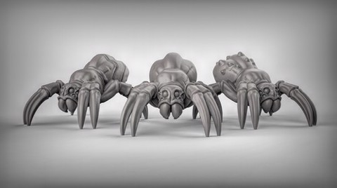Image of Spiders