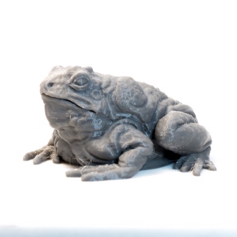Image of Giant Toad - DnD Monster - 2 Poses