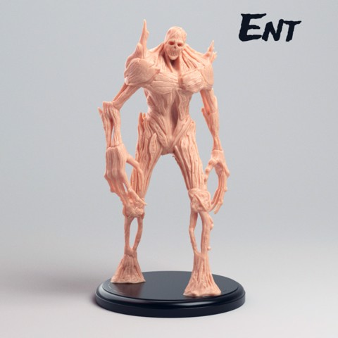Image of Ent
